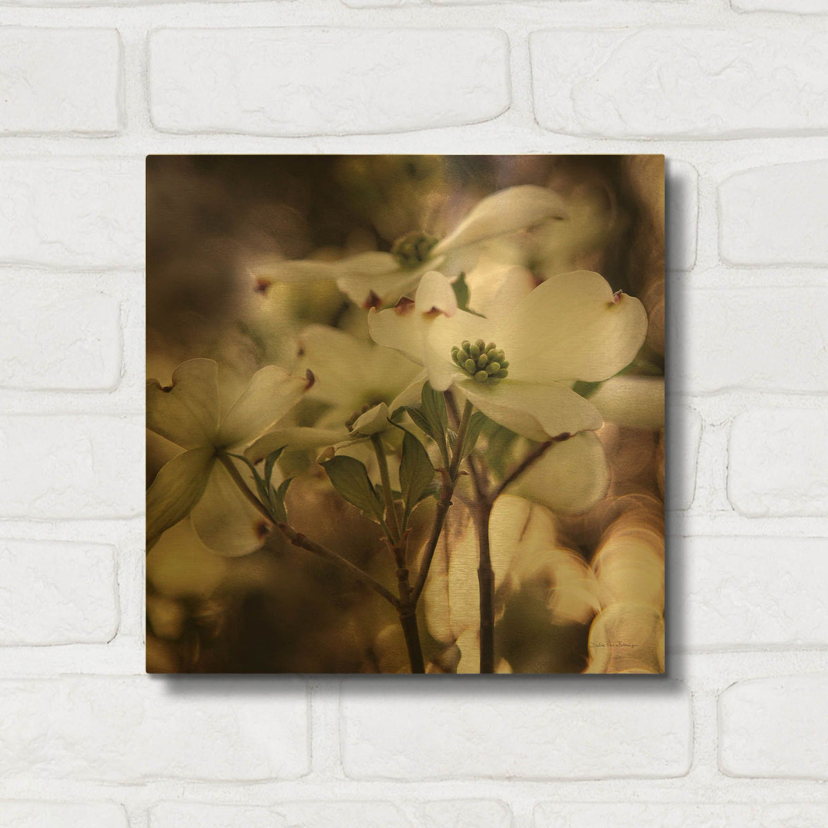 'White Dogwood II' By Debra Van Swearingen Gold Metal Wall Art