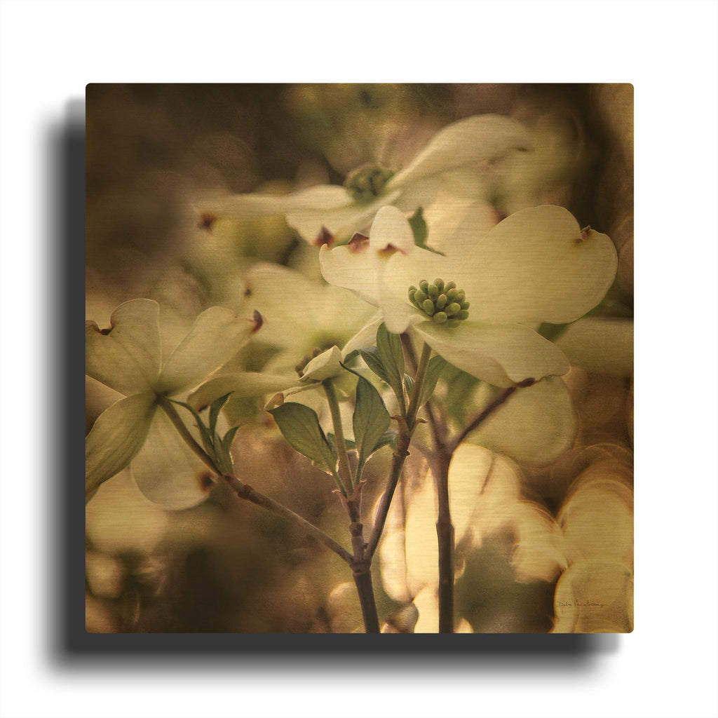 'White Dogwood II' By Debra Van Swearingen Gold Metal Wall Art