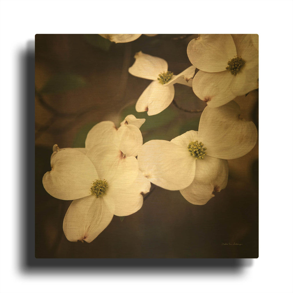 'White Dogwood III' By Debra Van Swearingen Gold Metal Wall Art