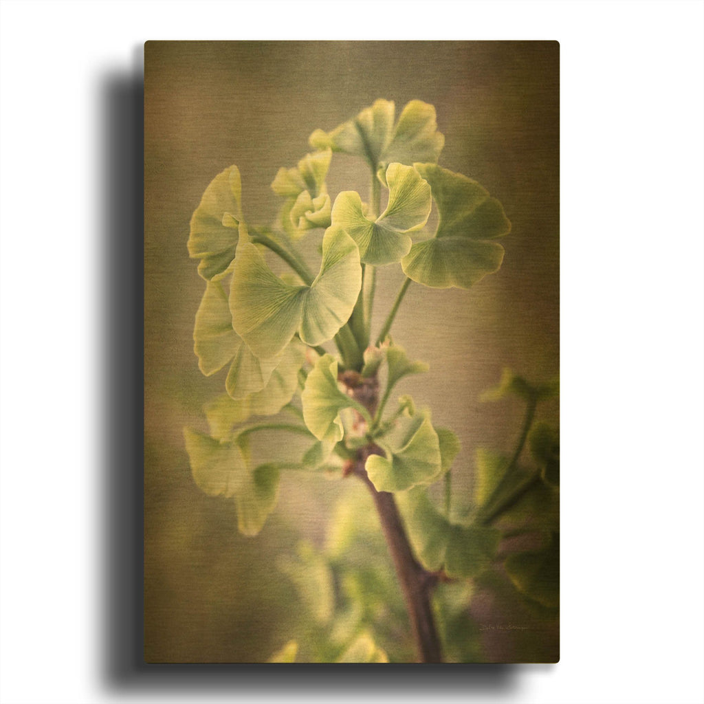 'Sprouting Ginkgo I' By Debra Van Swearingen Gold Metal Wall Art