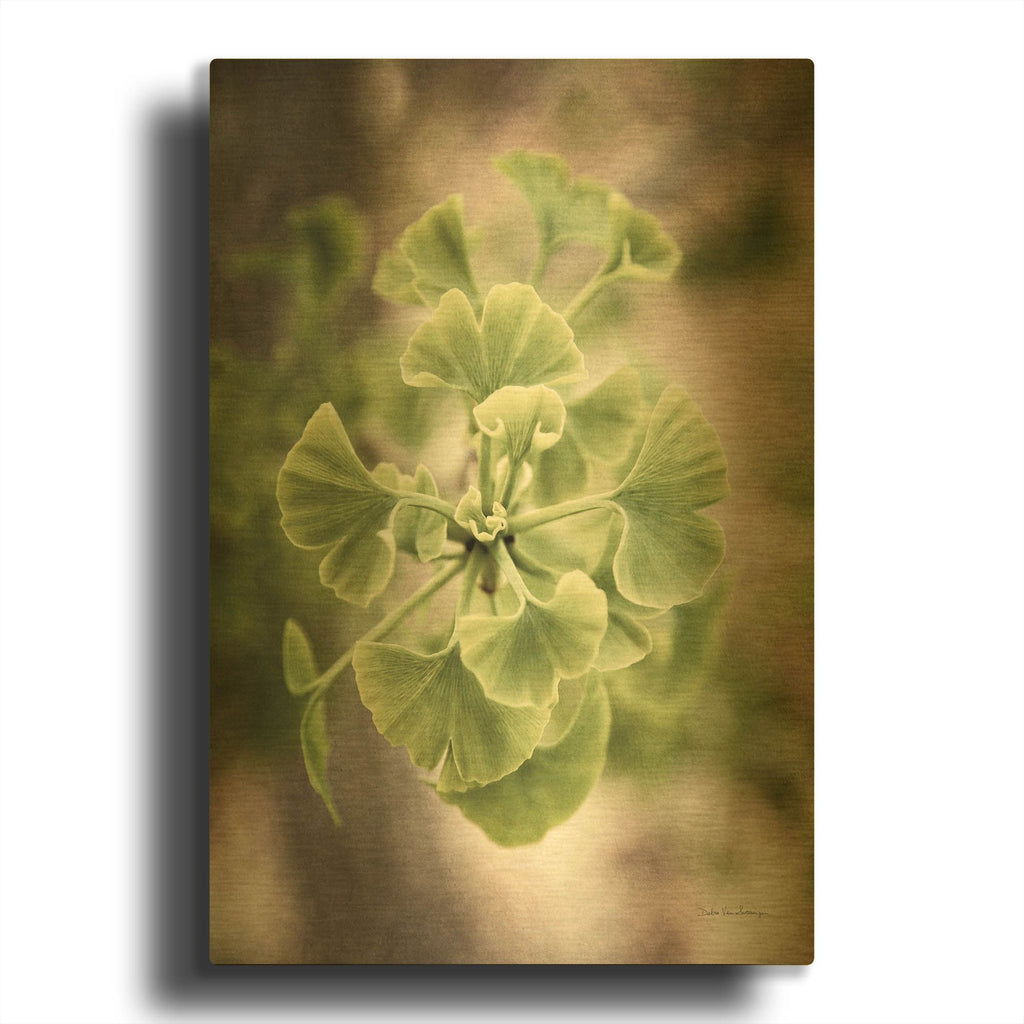 'Sprouting Ginkgo II' By Debra Van Swearingen Gold Metal Wall Art