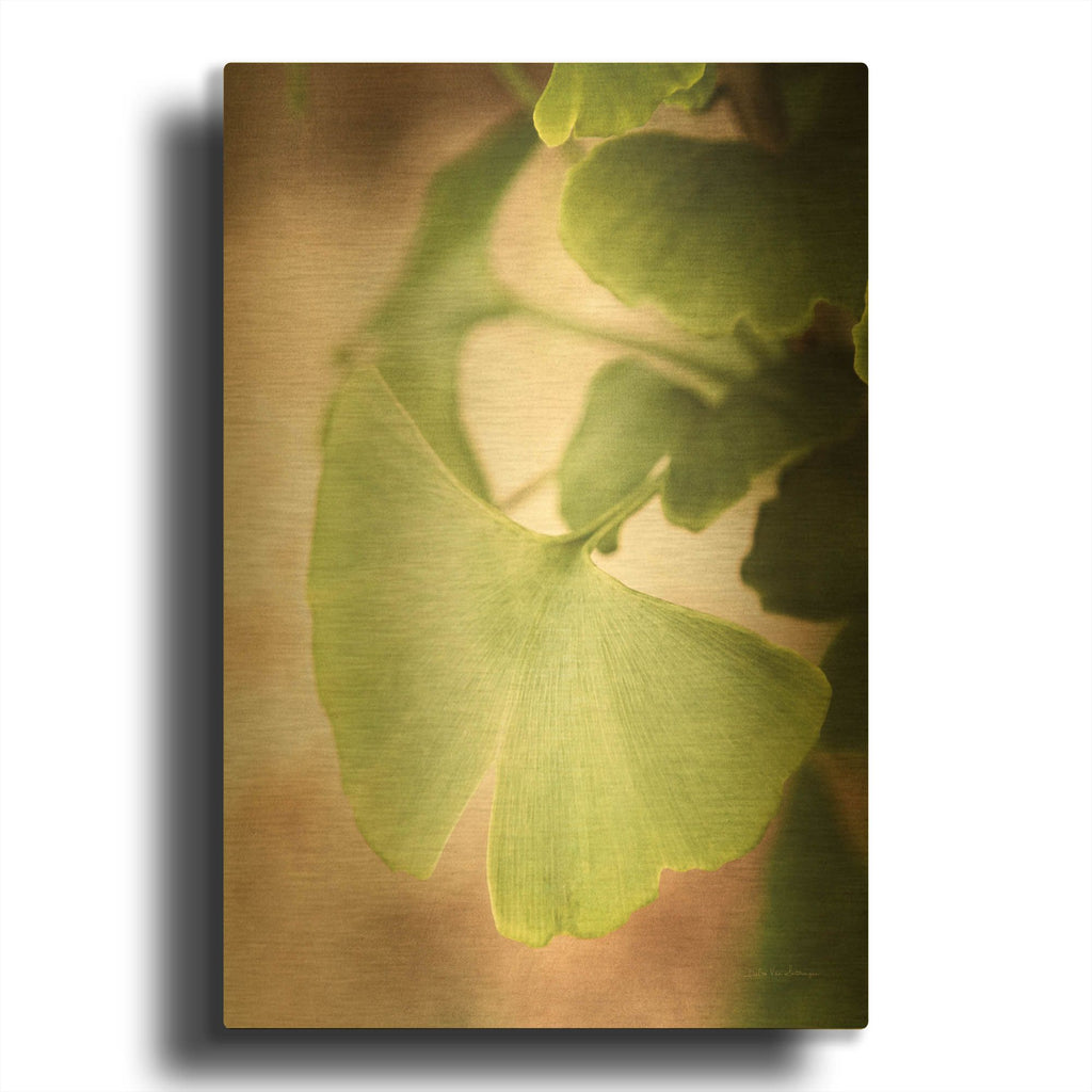'Sprouting Ginkgo III' By Debra Van Swearingen Gold Metal Wall Art