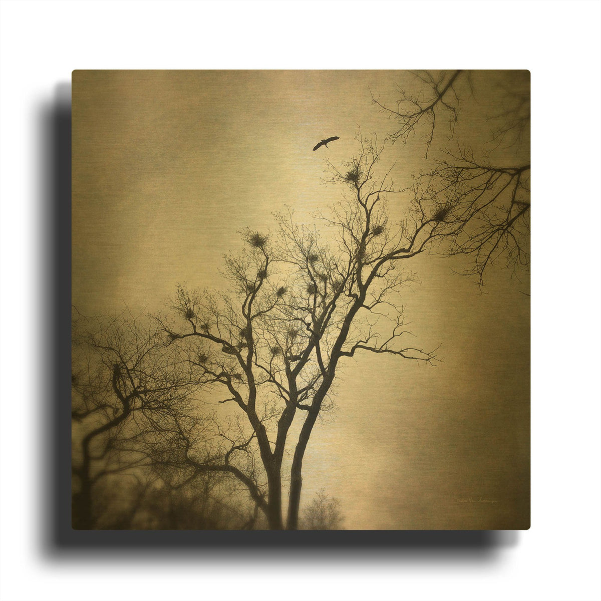 'The Heron Rookery' By Debra Van Swearingen Gold Metal Wall Art