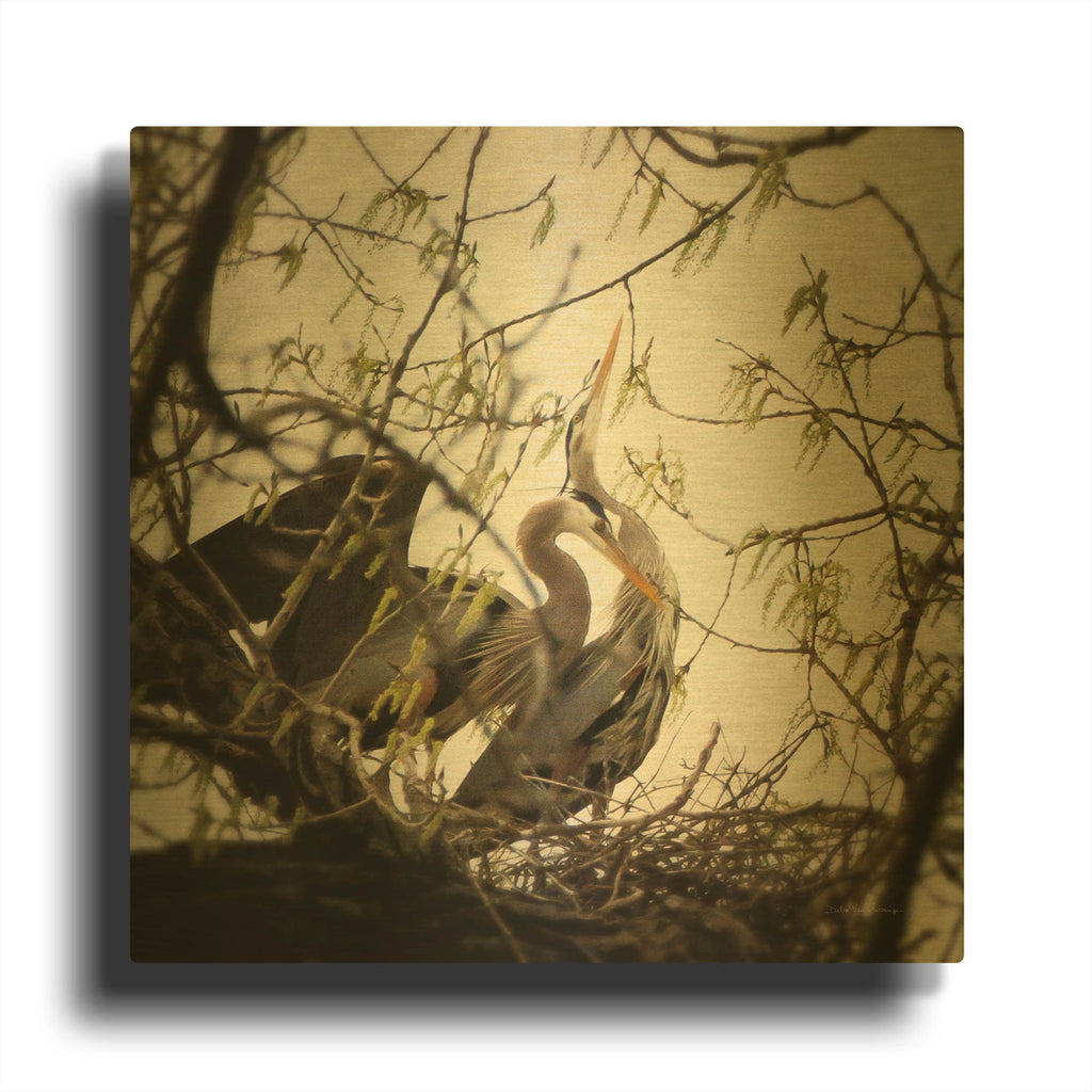 'Connection' By Debra Van Swearingen Gold Metal Wall Art
