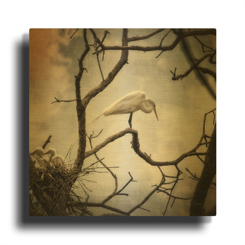 'Respite' By Debra Van Swearingen Gold Metal Wall Art