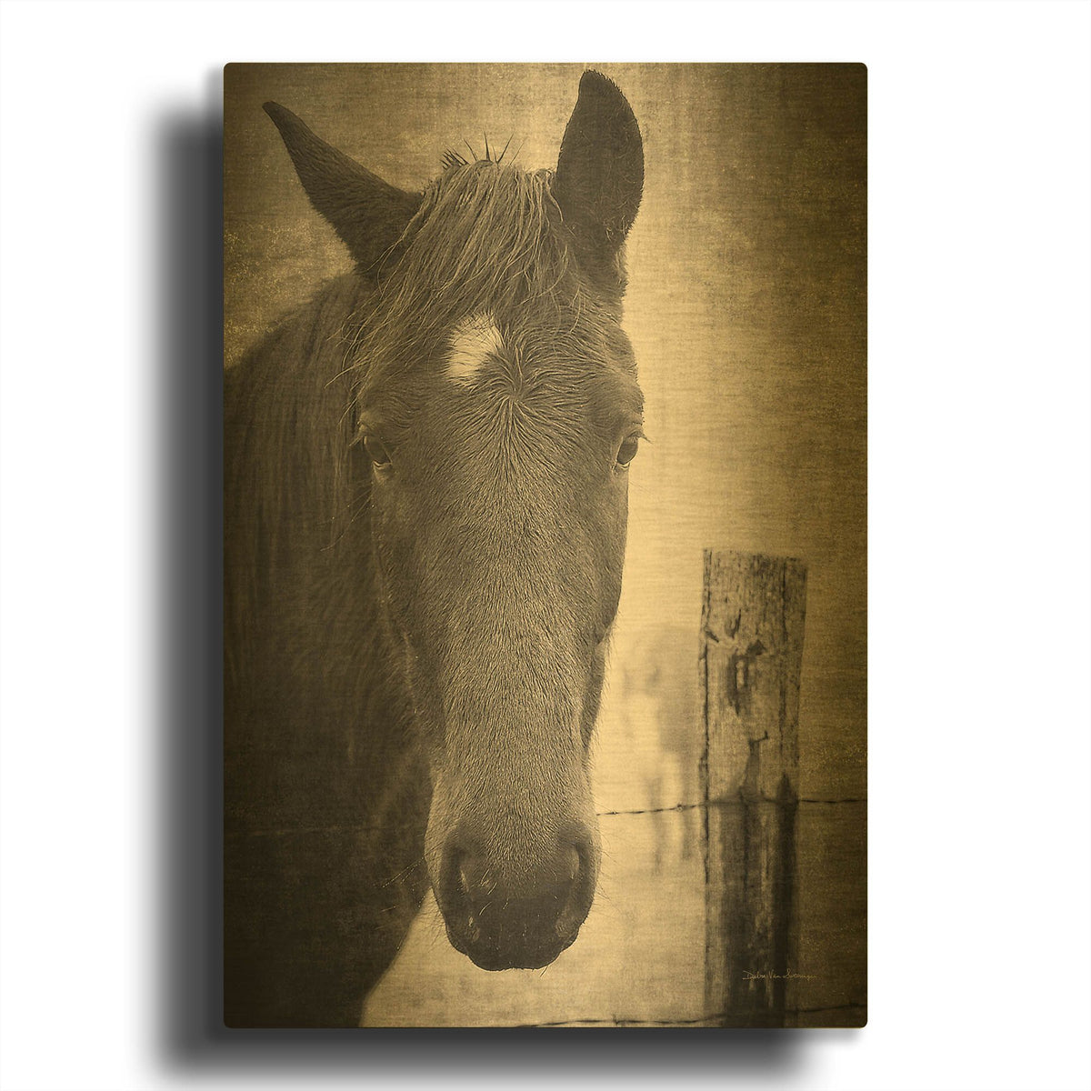 'Heres Looking at You I' By Debra Van Swearingen Gold Metal Wall Art
