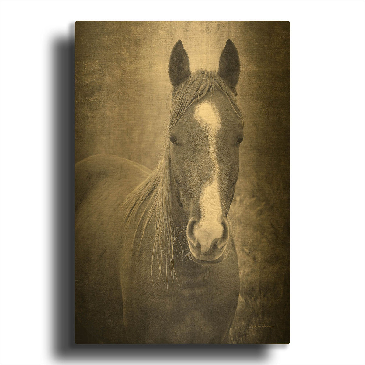 'Heres Looking at You II' By Debra Van Swearingen Gold Metal Wall Art