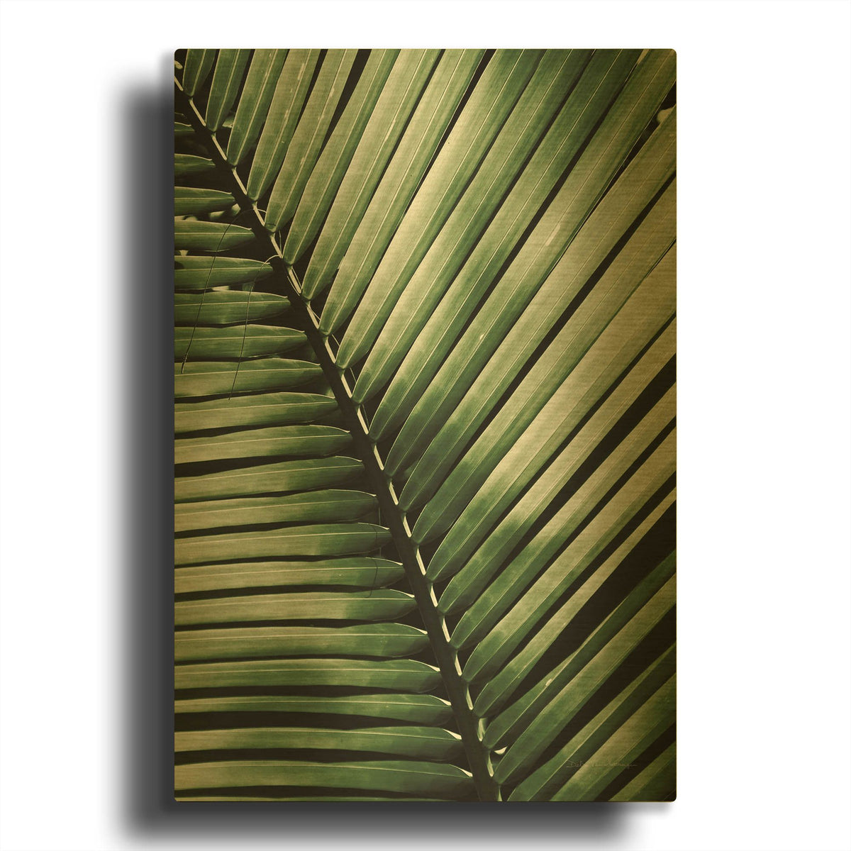 'Palm Frond I Green' By Debra Van Swearingen Gold Metal Wall Art