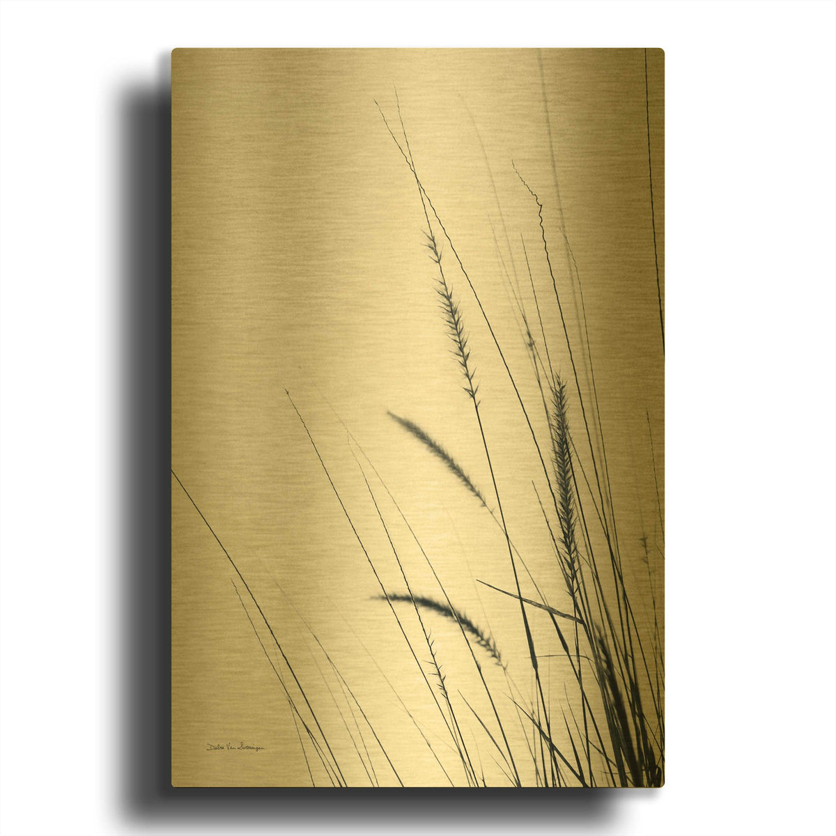 'Field Grasses II' By Debra Van Swearingen Gold Metal Wall Art