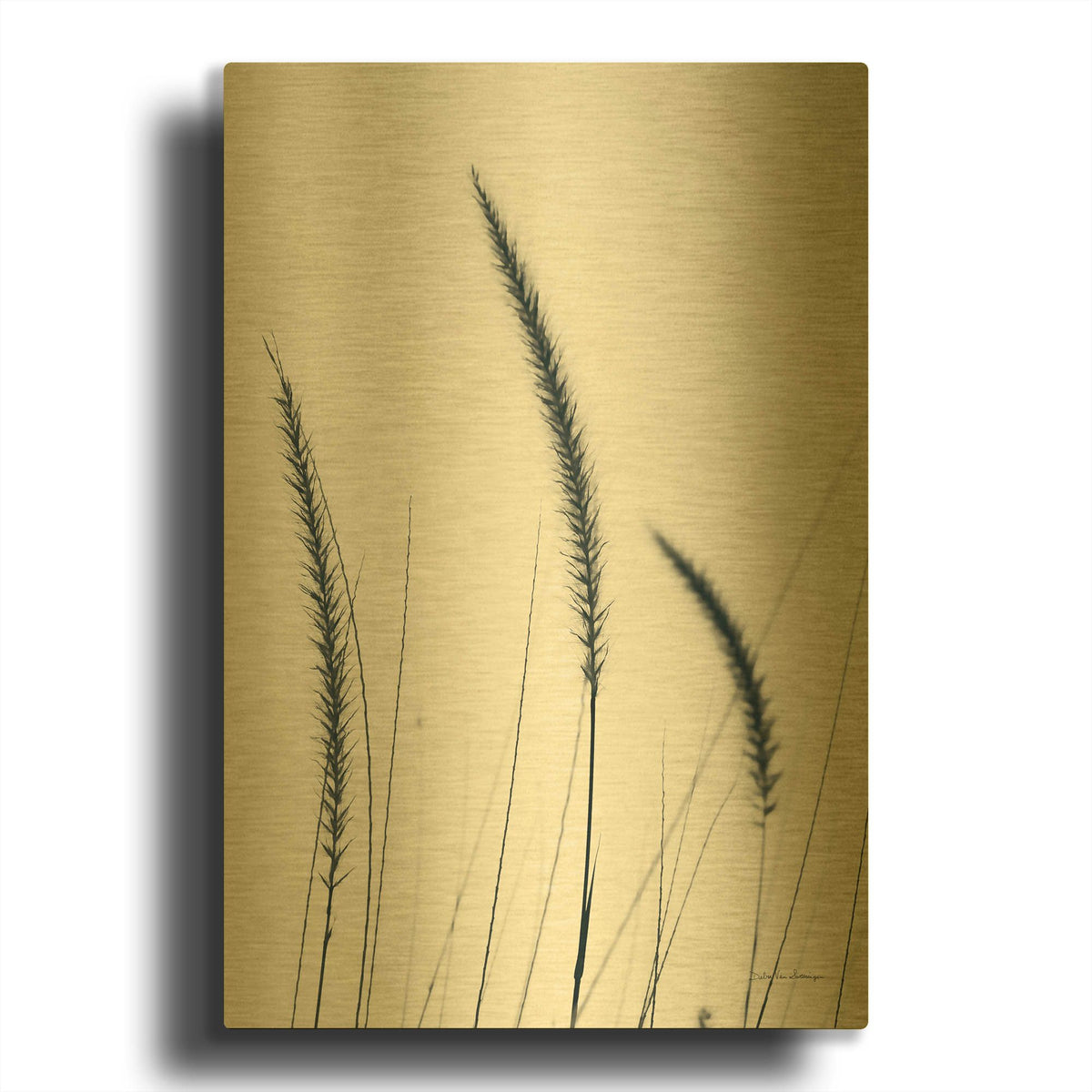 'Field Grasses IV' By Debra Van Swearingen Gold Metal Wall Art