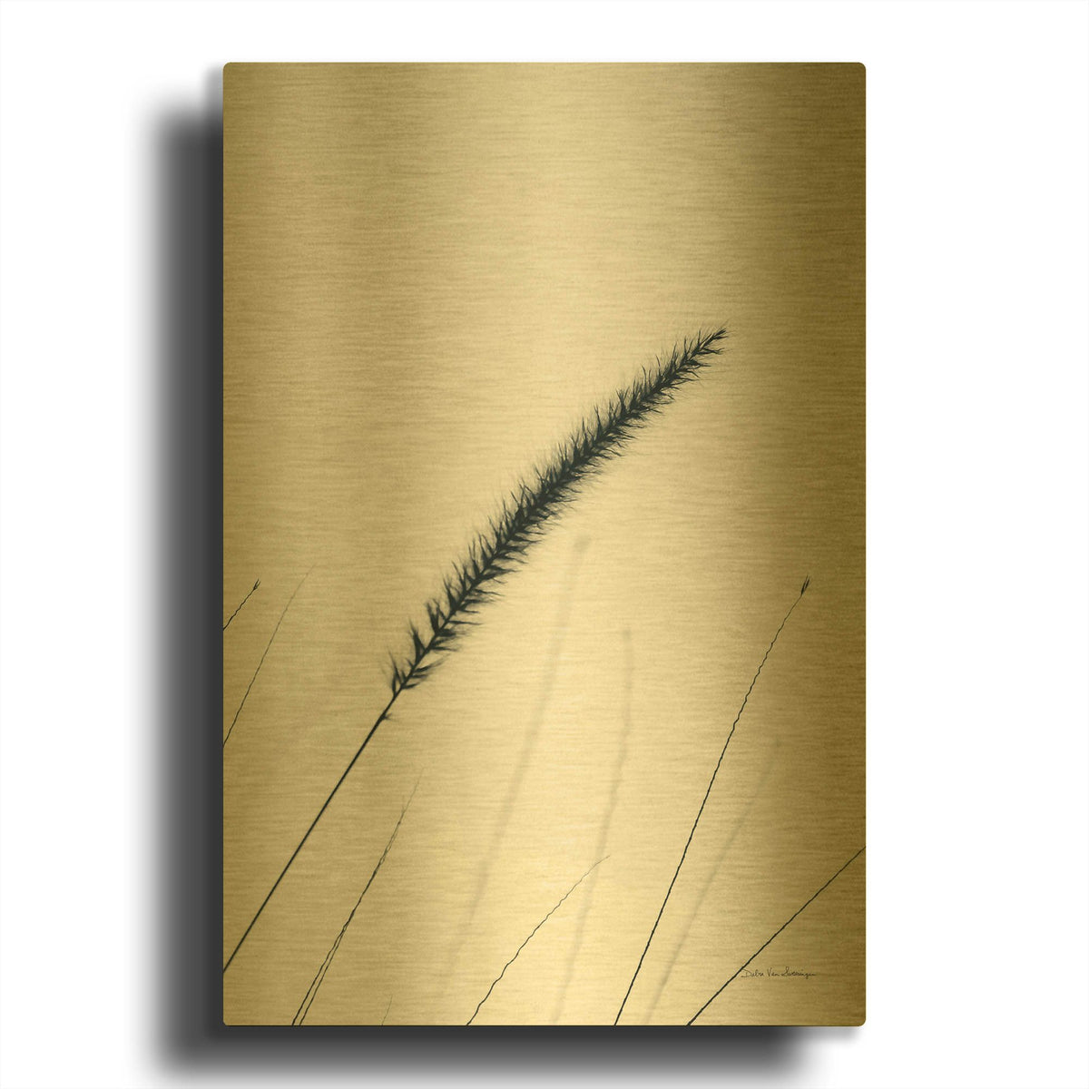 'Field Grasses V' By Debra Van Swearingen Gold Metal Wall Art