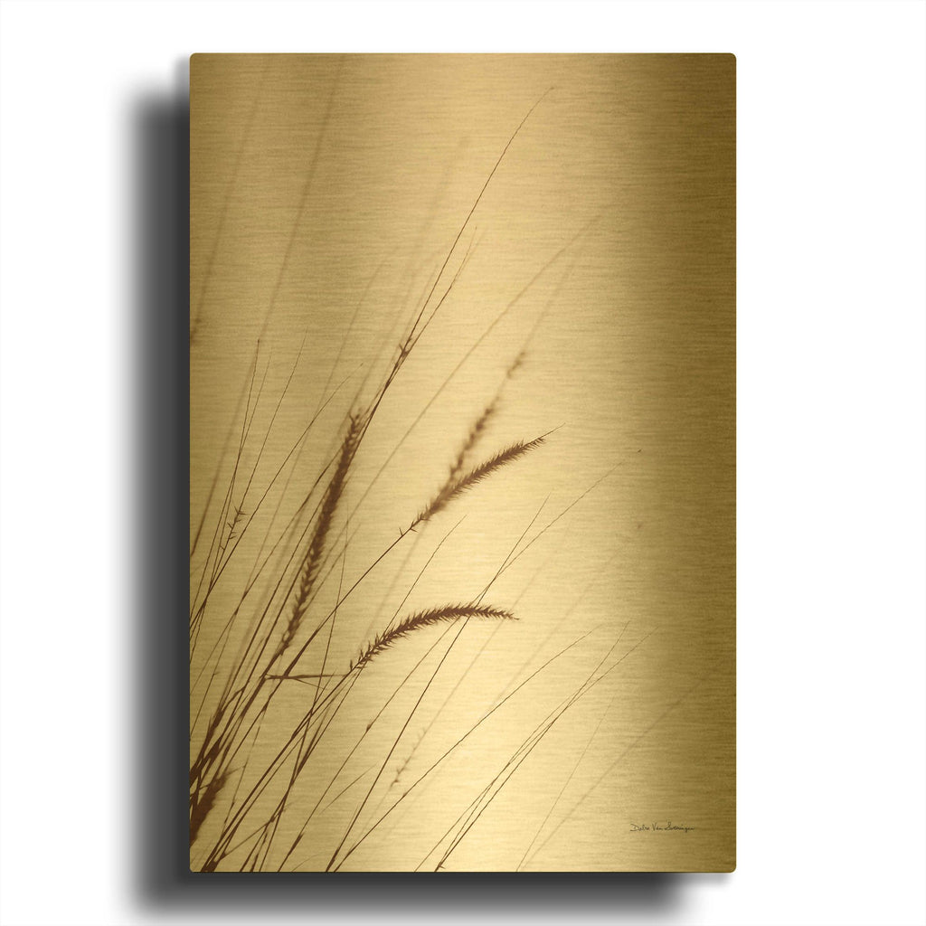 'Field Grasses I Sepia' By Debra Van Swearingen Gold Metal Wall Art