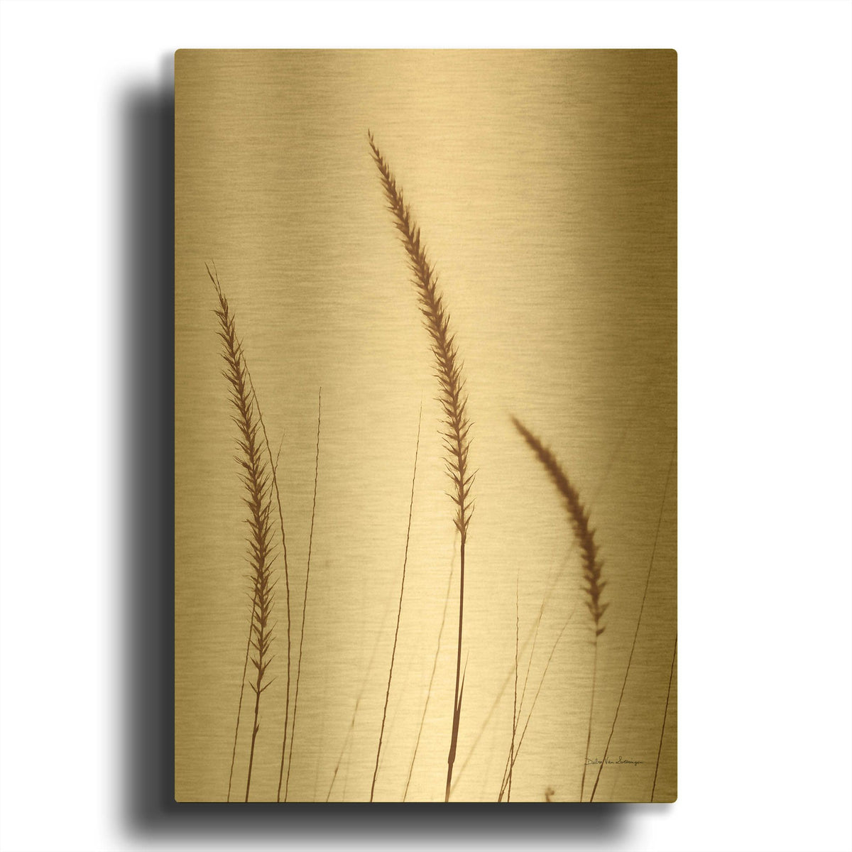 'Field Grasses IV Sepia' By Debra Van Swearingen Gold Metal Wall Art