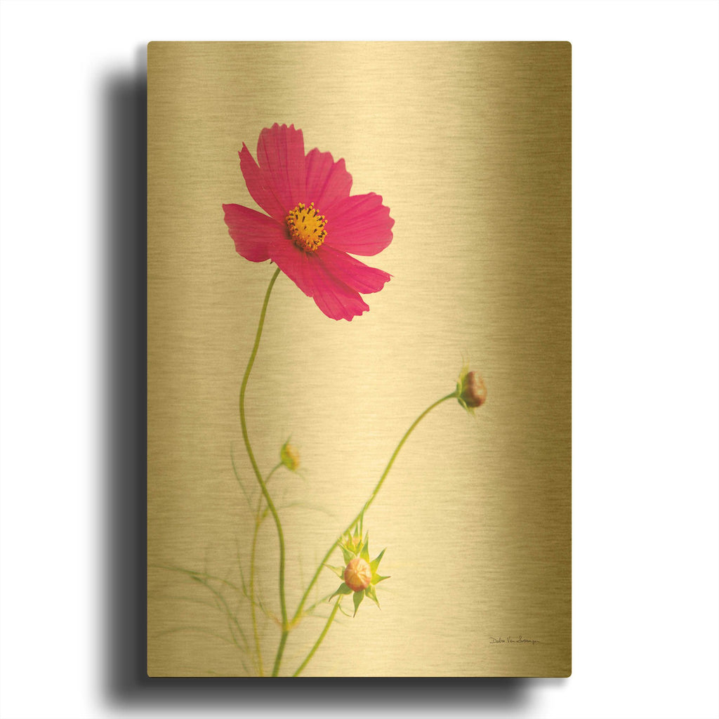 'Magenta Cosmos I' By Debra Van Swearingen Gold Metal Wall Art