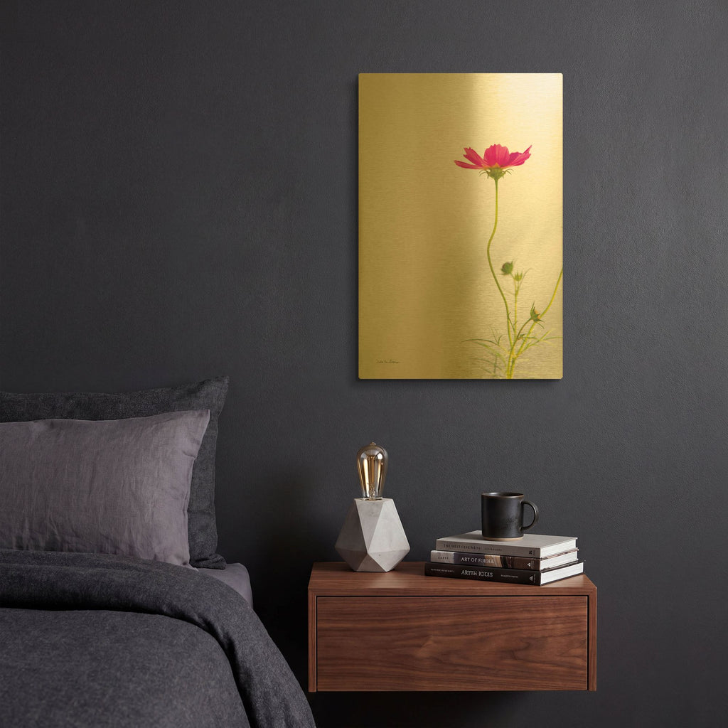 'Magenta Cosmos II' By Debra Van Swearingen Gold Metal Wall Art