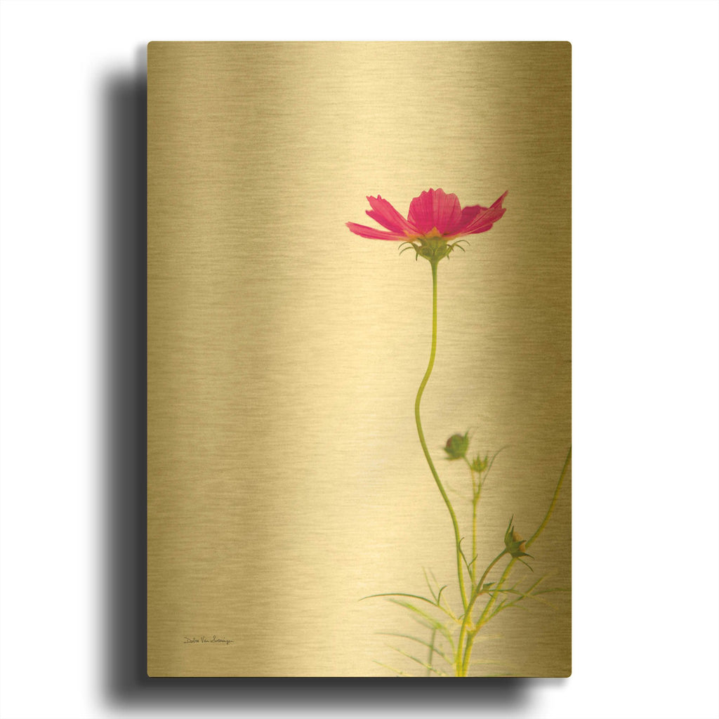 'Magenta Cosmos II' By Debra Van Swearingen Gold Metal Wall Art