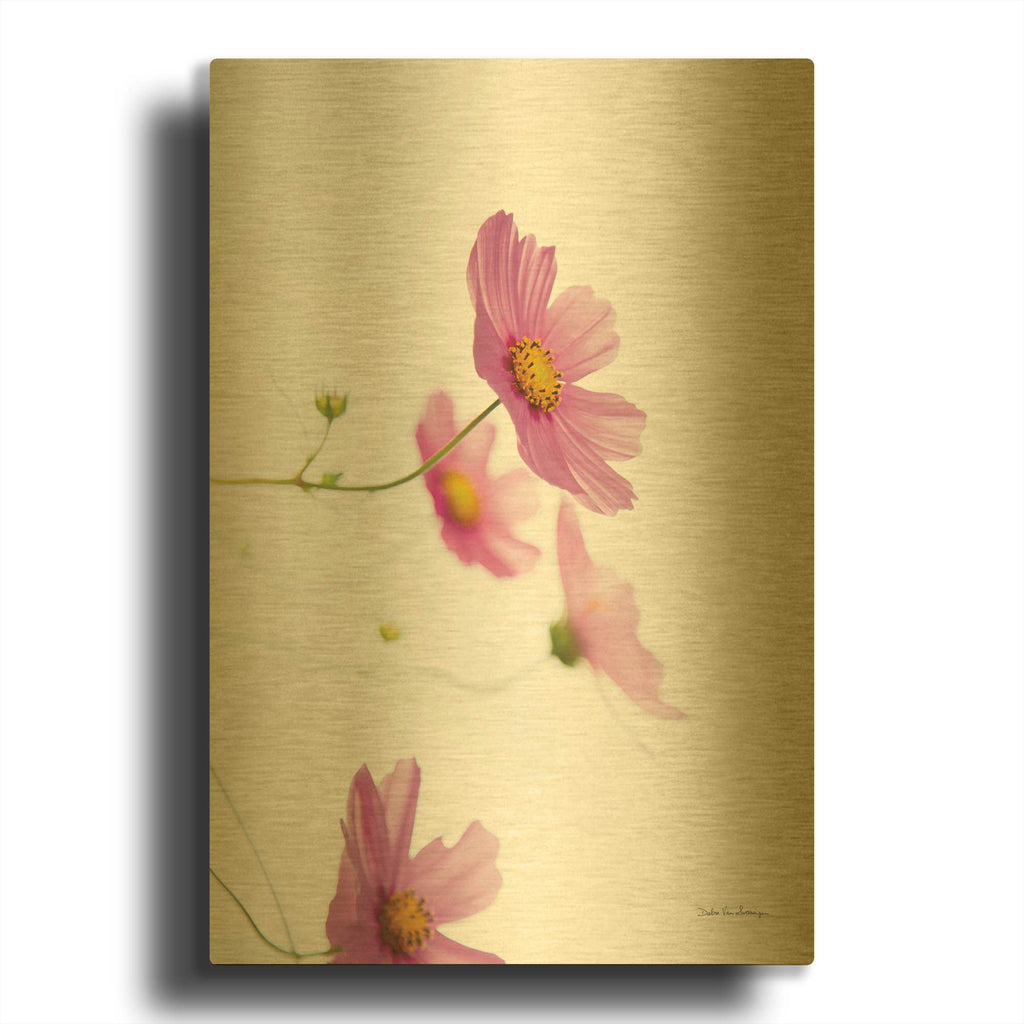 'Pale Cosmos I' By Debra Van Swearingen Gold Metal Wall Art