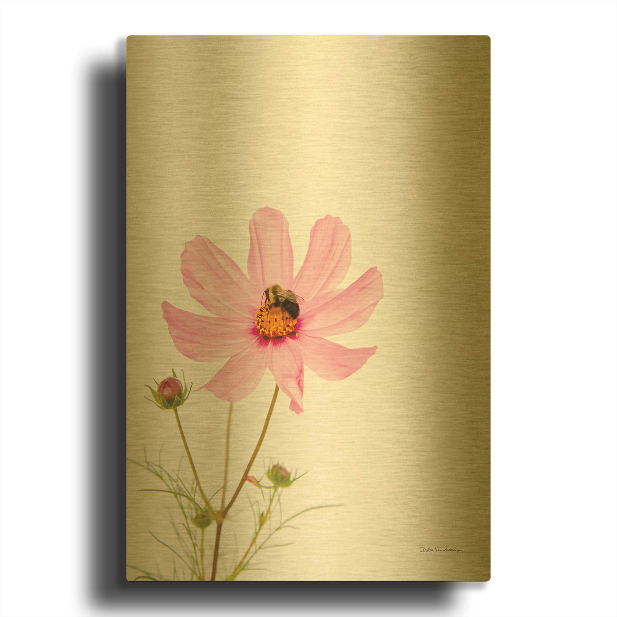 'Pale Cosmos II' By Debra Van Swearingen Gold Metal Wall Art