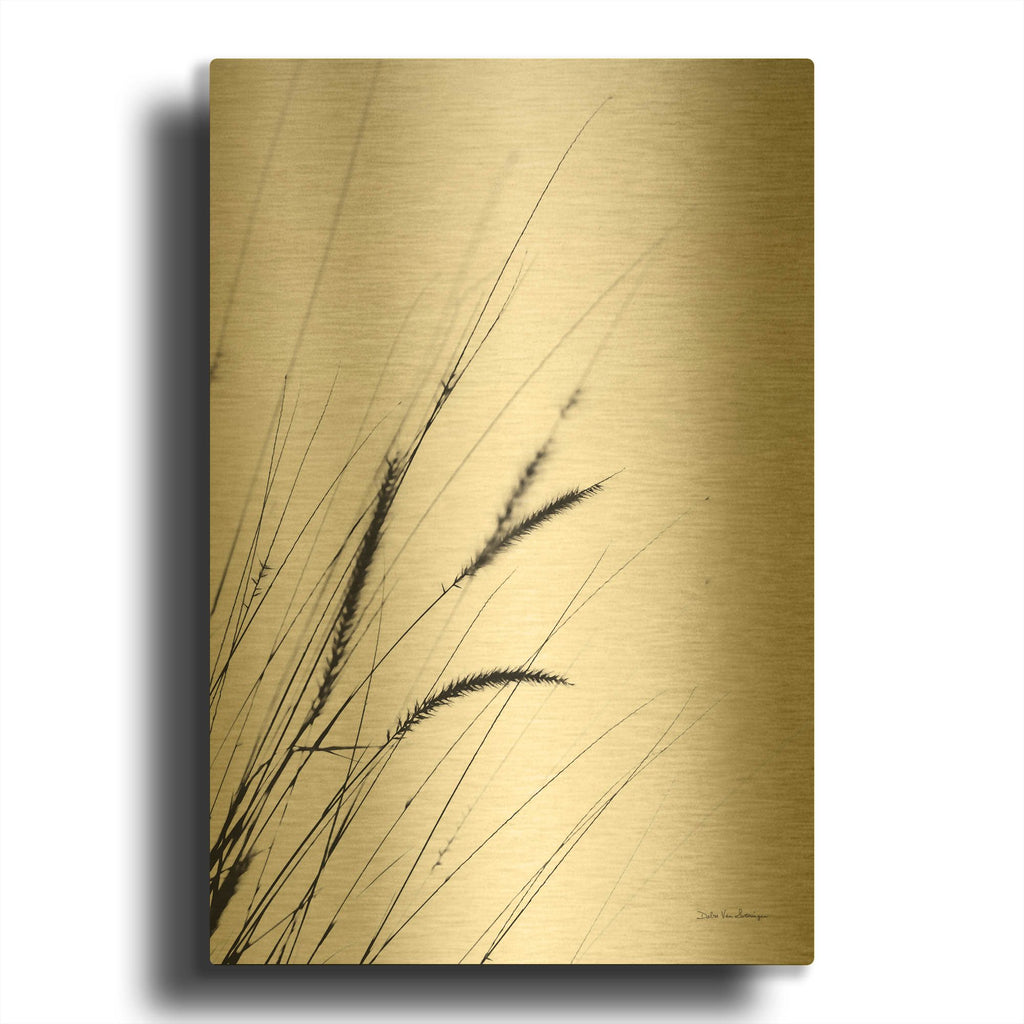 'Field Grasses I White' By Debra Van Swearingen Gold Metal Wall Art