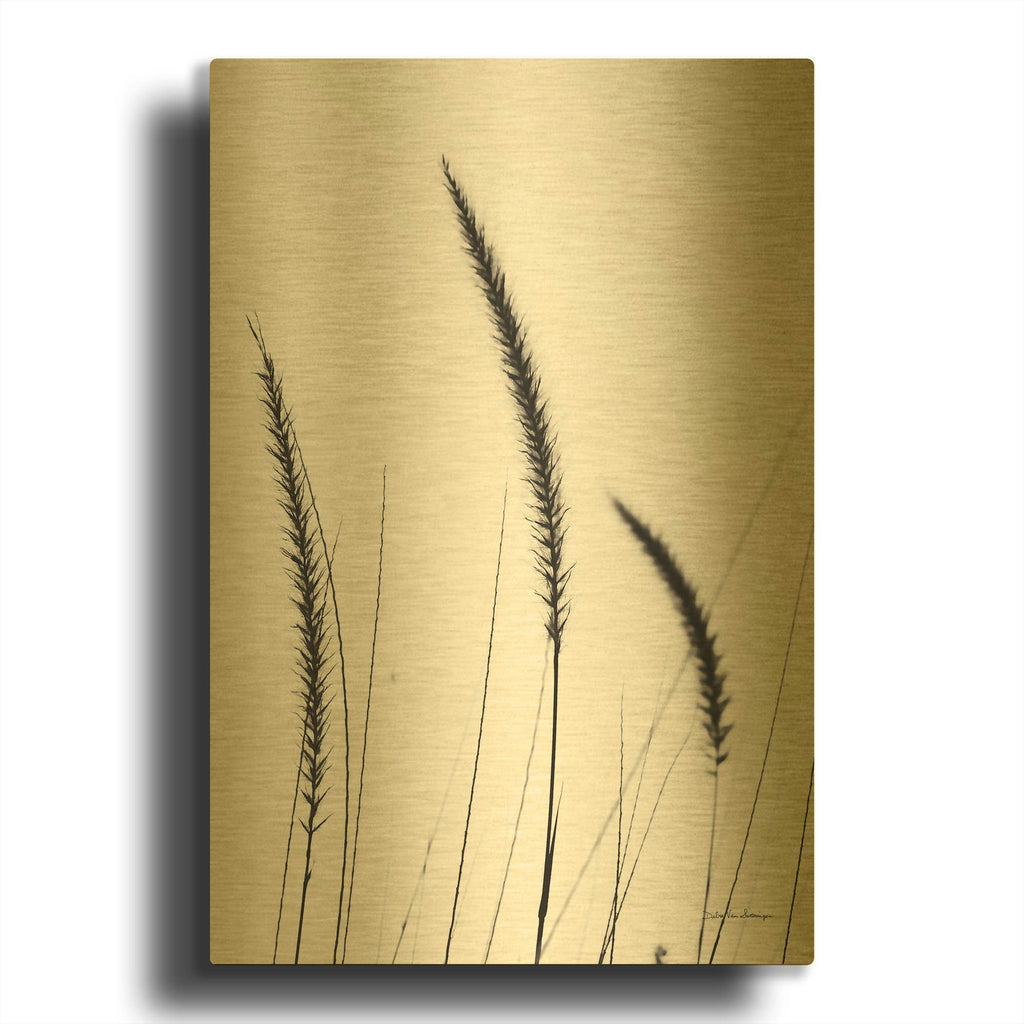 'Field Grasses IV White' By Debra Van Swearingen Gold Metal Wall Art