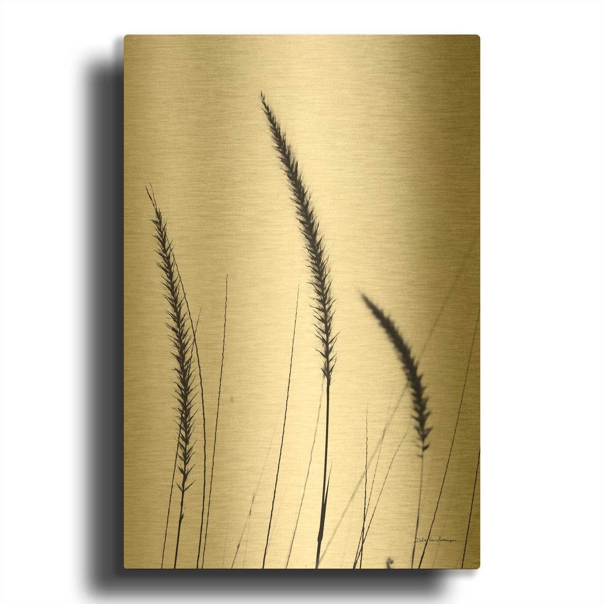'Field Grasses IV White' By Debra Van Swearingen Gold Metal Wall Art