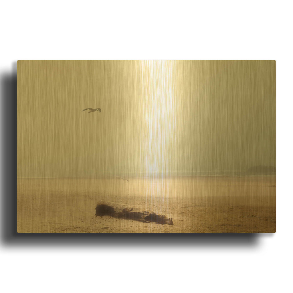 'Cold Beach III' By Debra Van Swearingen Gold Metal Wall Art