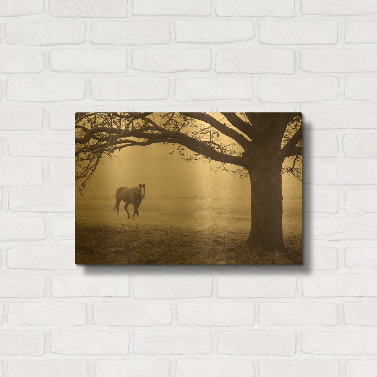 'Hazy Horse I' By Debra Van Swearingen Gold Metal Wall Art