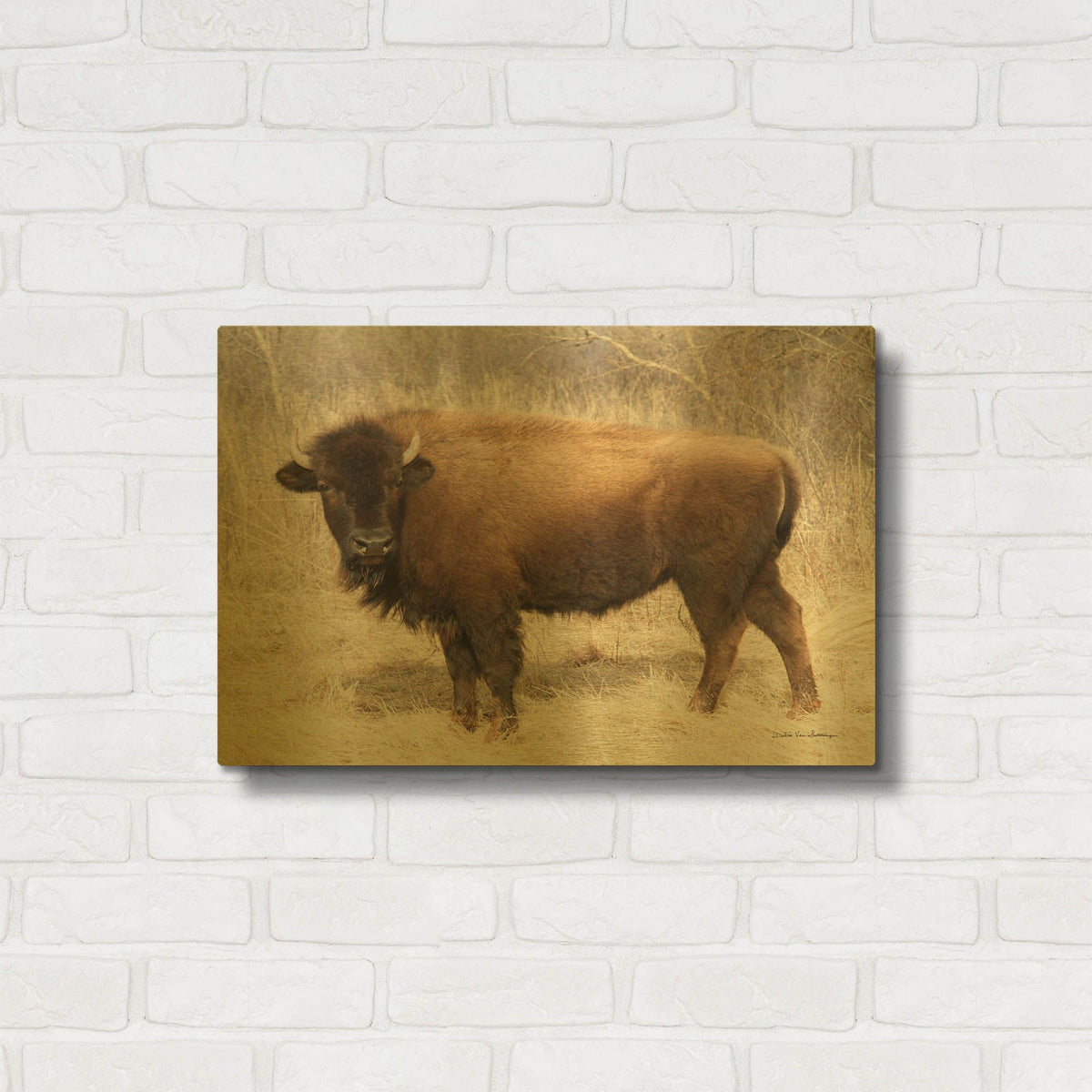 'American Bison I' By Debra Van Swearingen Gold Metal Wall Art