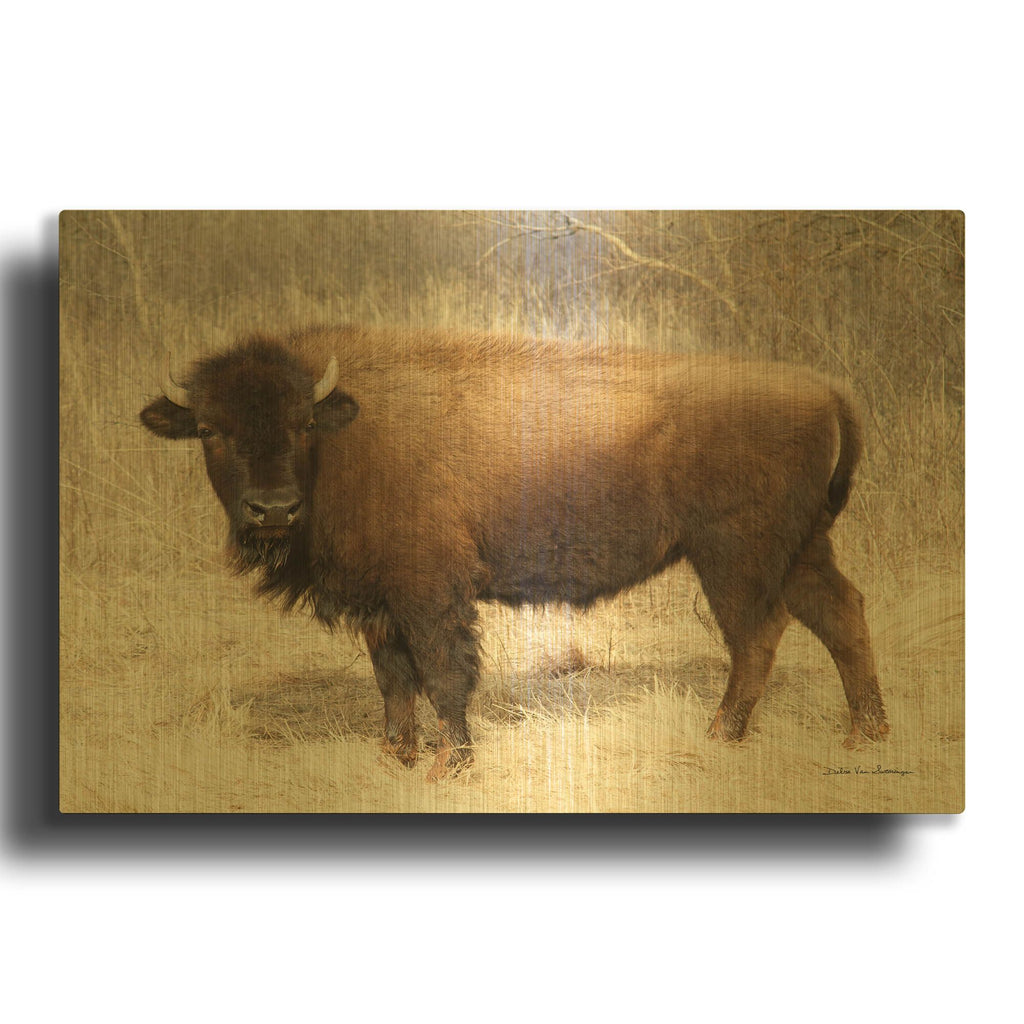 'American Bison I' By Debra Van Swearingen Gold Metal Wall Art
