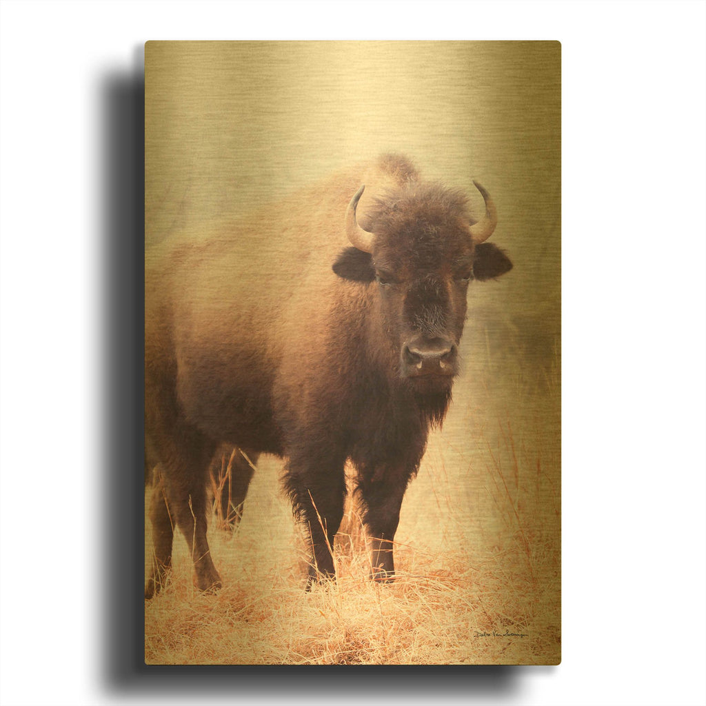 'American Bison V' By Debra Van Swearingen Gold Metal Wall Art