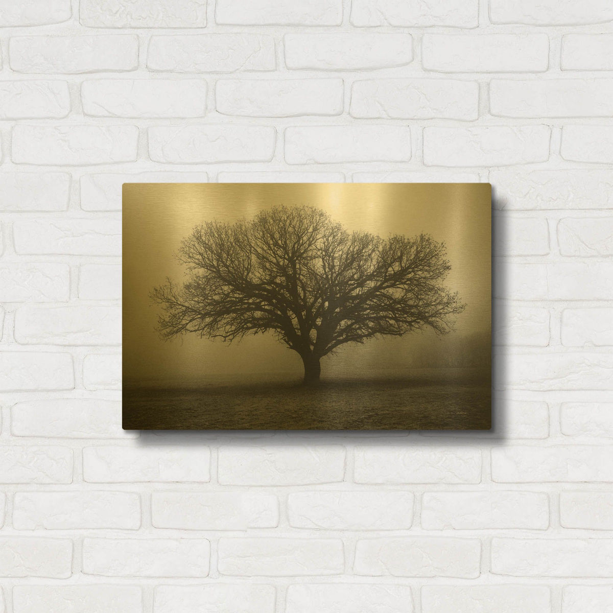 'Evening Mist' By Debra Van Swearingen Gold Metal Wall Art