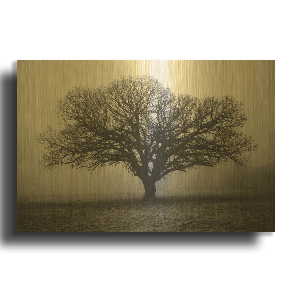'Evening Mist' By Debra Van Swearingen Gold Metal Wall Art