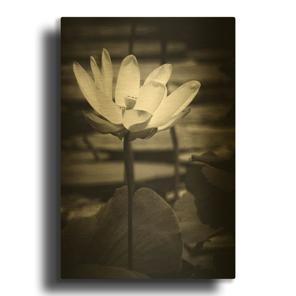 'Lotus Flower VIII' By Debra Van Swearingen Gold Metal Wall Art