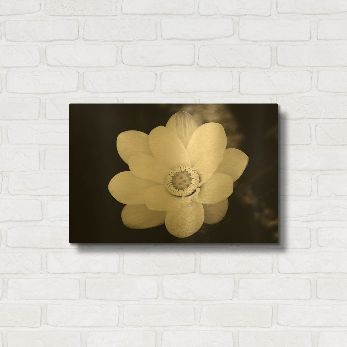 'Lotus Flower III' By Debra Van Swearingen Gold Metal Wall Art