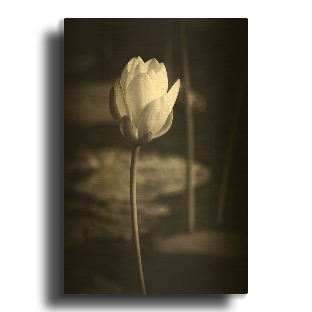 'Lotus Flower VI' By Debra Van Swearingen Gold Metal Wall Art