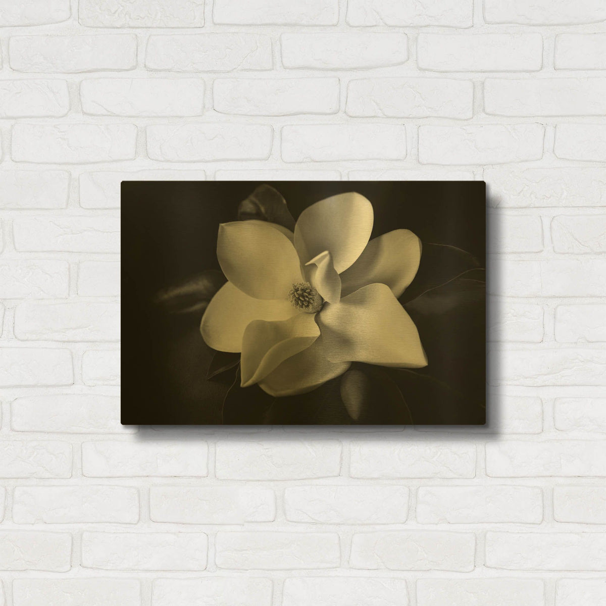 'SID14511_Magnolia' By Debra Van Swearingen Gold Metal Wall Art