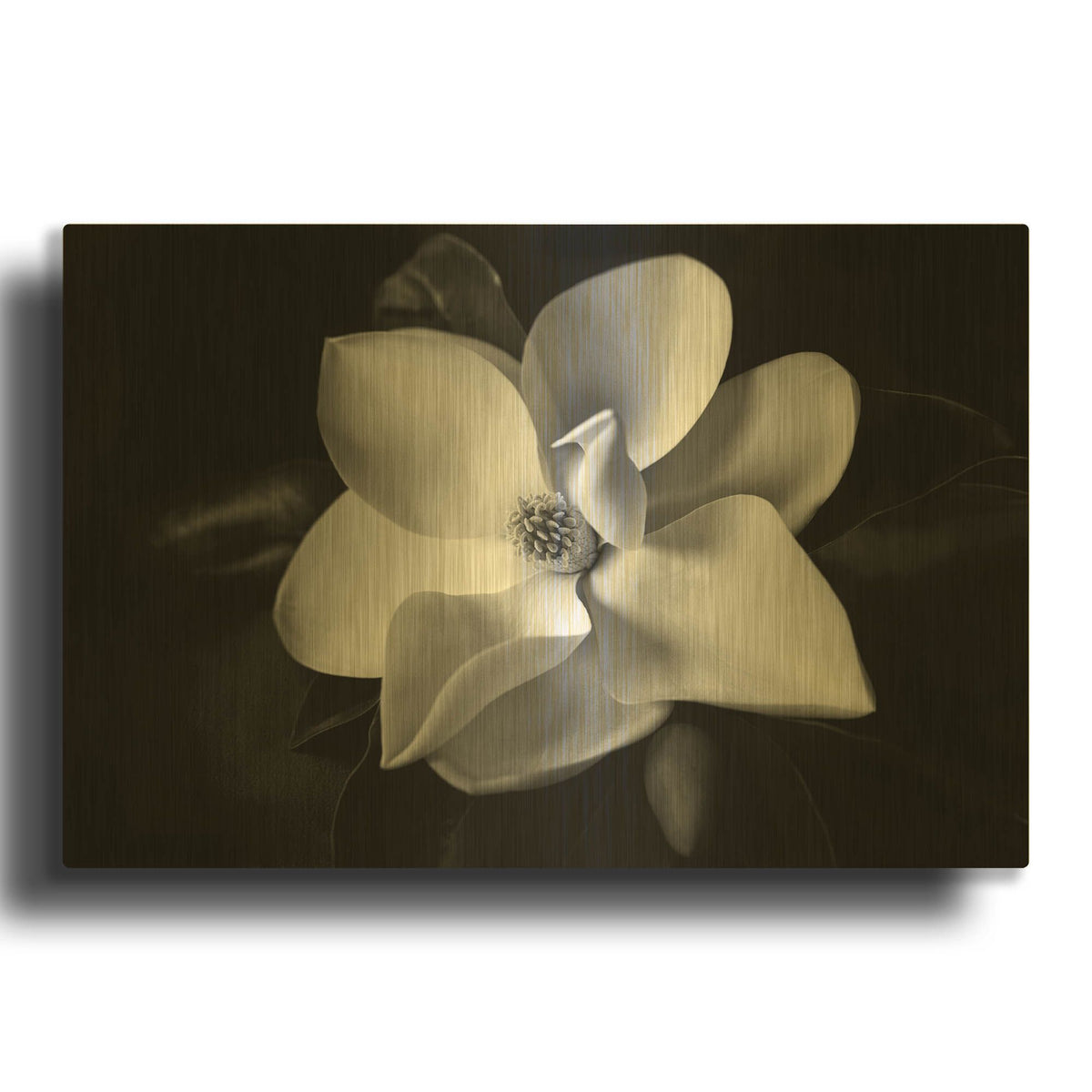 'SID14511_Magnolia' By Debra Van Swearingen Gold Metal Wall Art