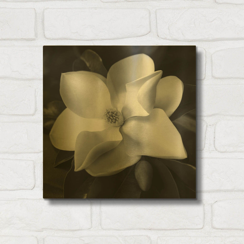 'Magnolia' By Debra Van Swearingen Gold Metal Wall Art