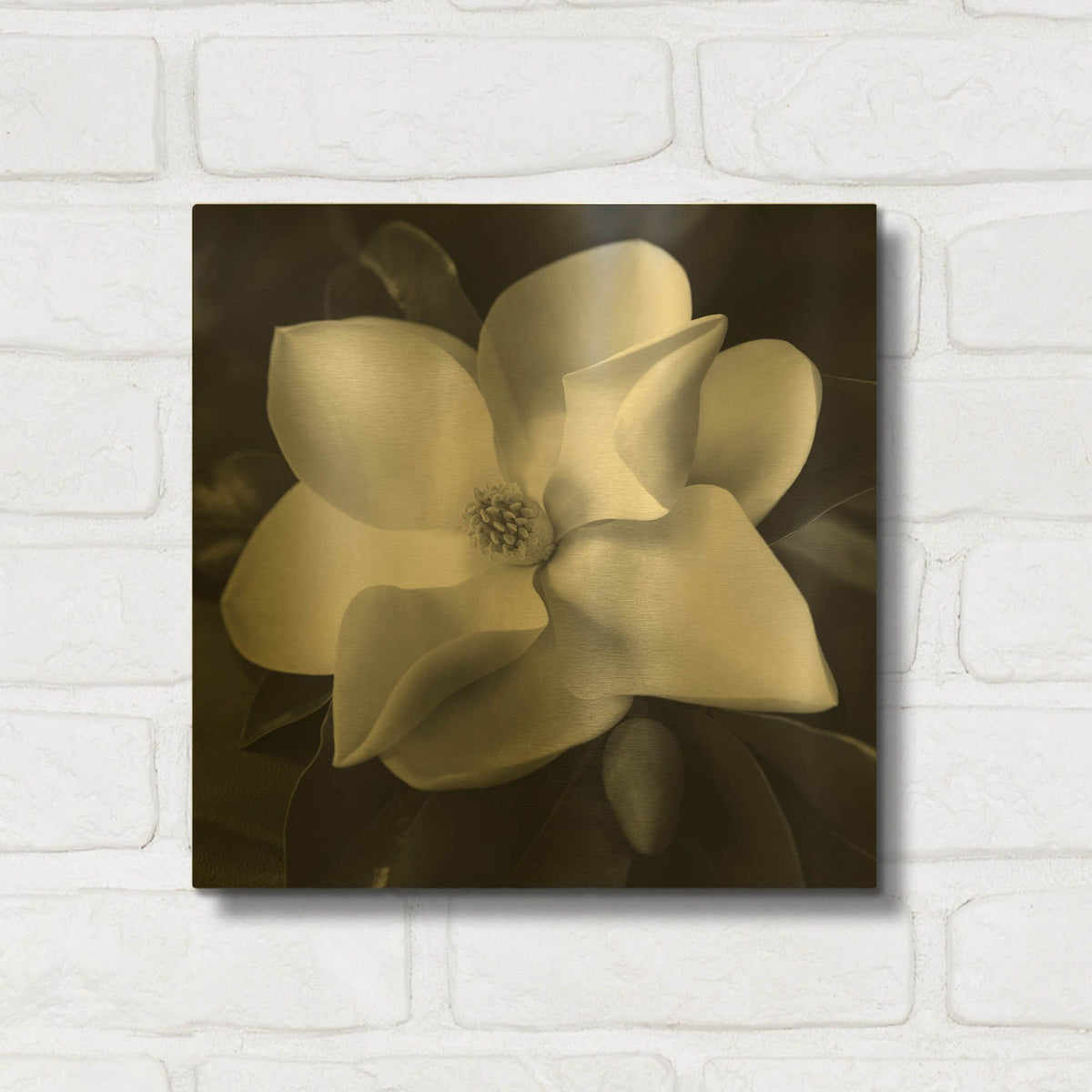 'Magnolia' By Debra Van Swearingen Gold Metal Wall Art