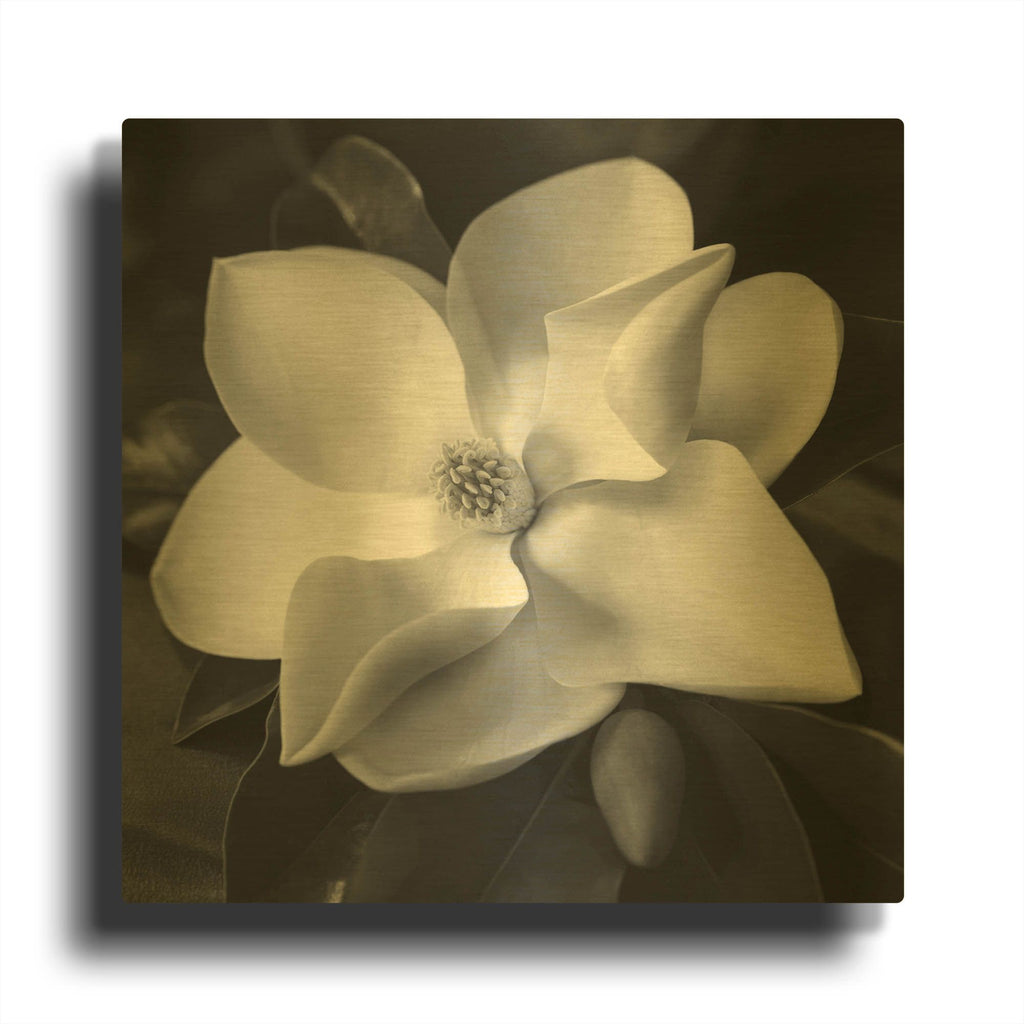 'Magnolia' By Debra Van Swearingen Gold Metal Wall Art
