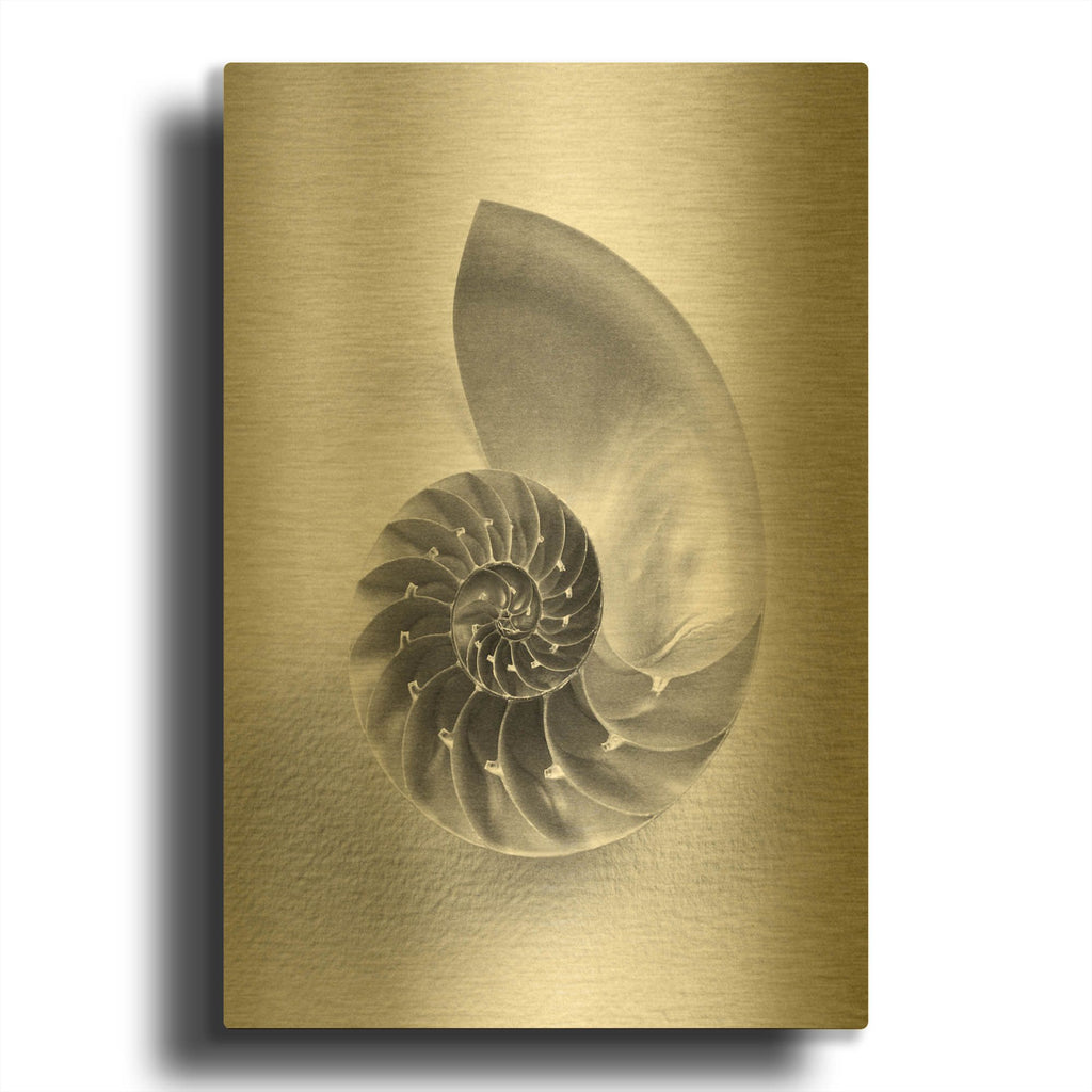 'Nautilus 4' By Debra Van Swearingen Gold Metal Wall Art