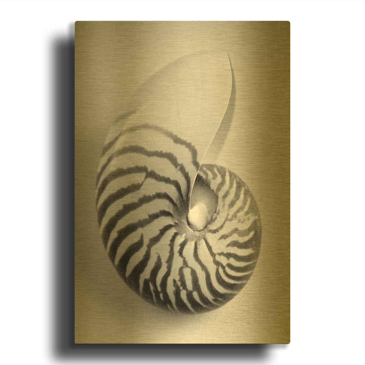 'Nautilus 2' By Debra Van Swearingen Gold Metal Wall Art