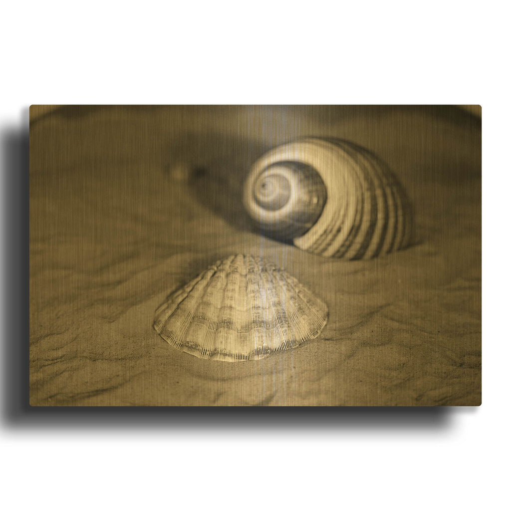 'Scallop Tonna' By Debra Van Swearingen Gold Metal Wall Art