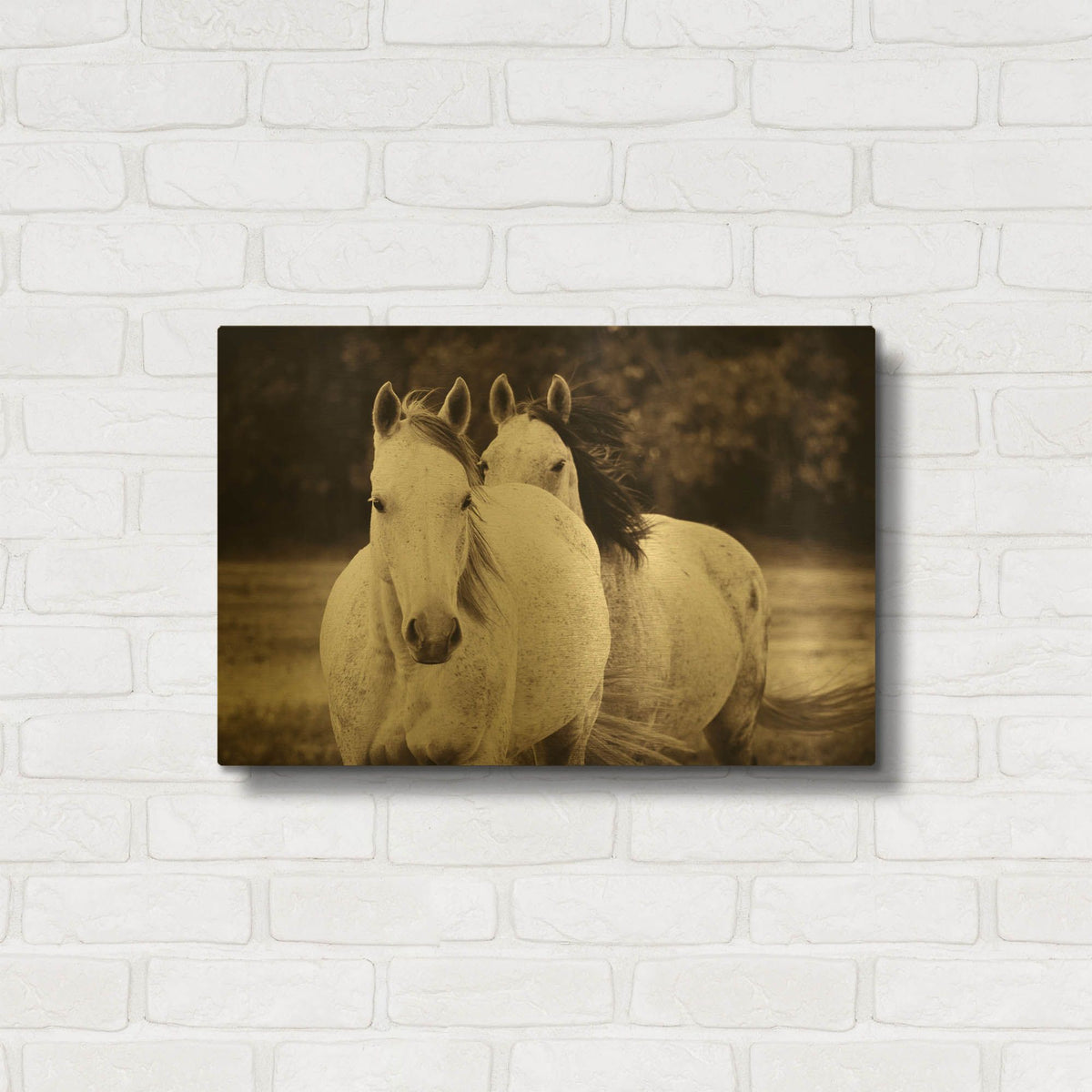 'Two Wild Horses Sepia' By Debra Van Swearingen Gold Metal Wall Art