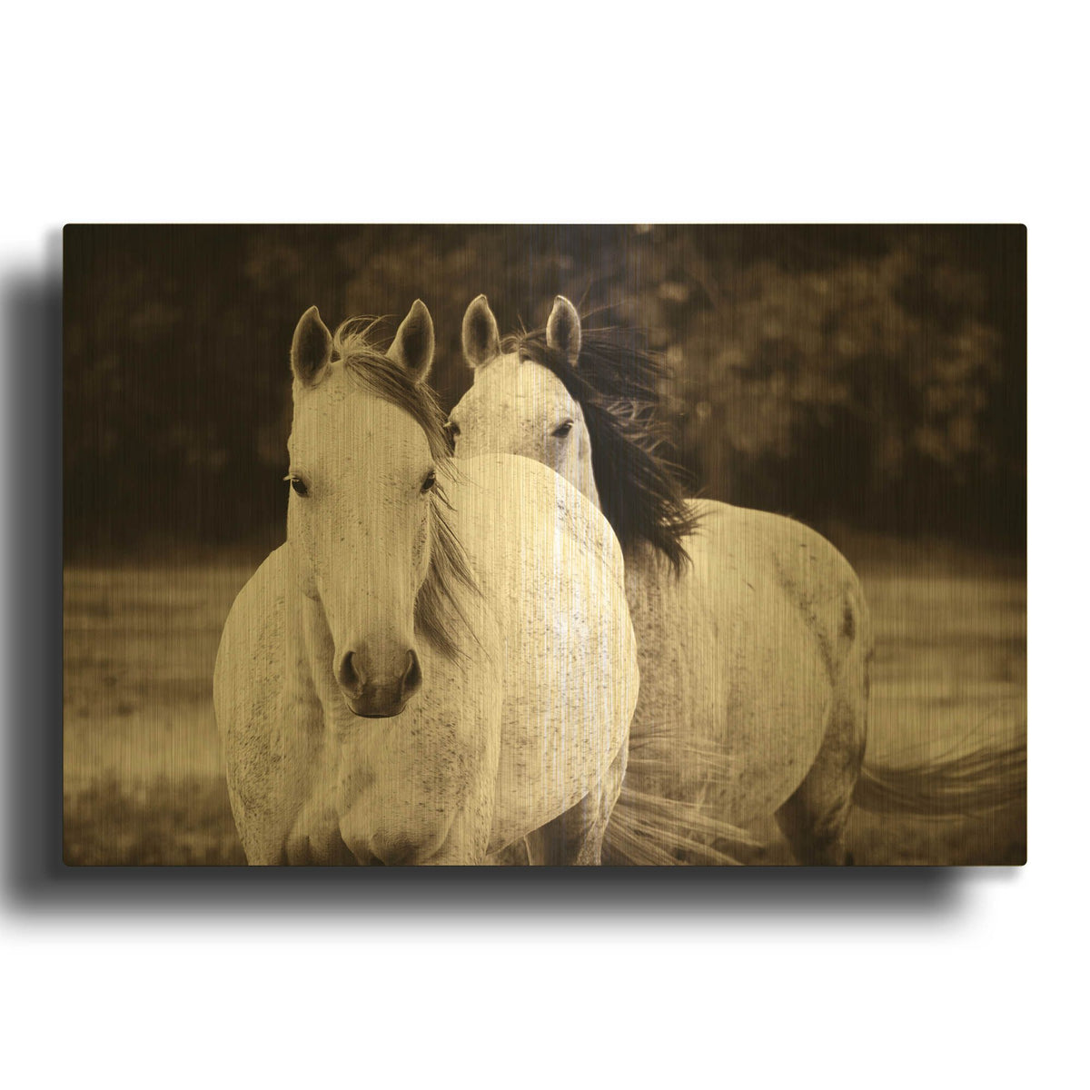 'Two Wild Horses Sepia' By Debra Van Swearingen Gold Metal Wall Art
