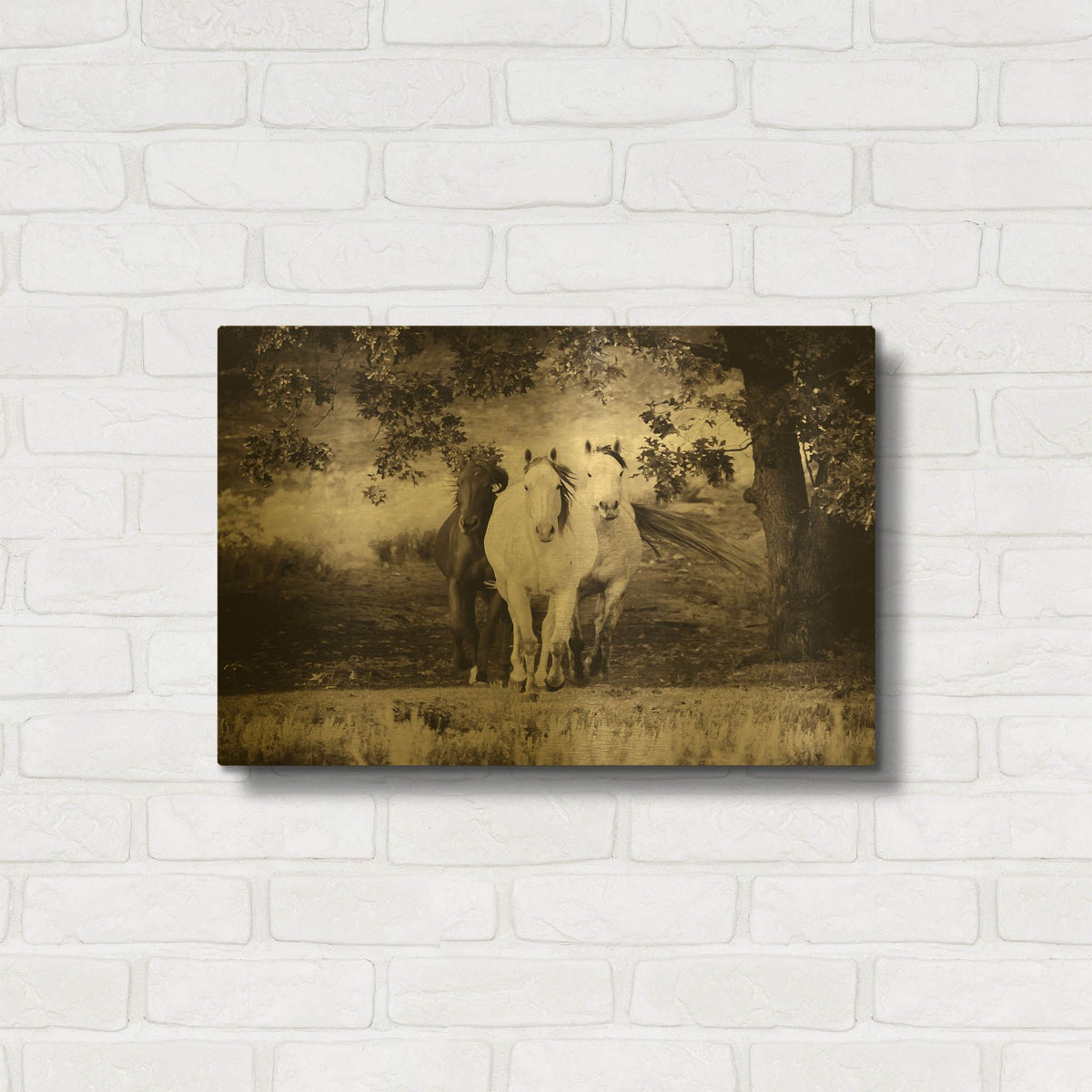 'Three Wild Horses Sepia' By Debra Van Swearingen Gold Metal Wall Art