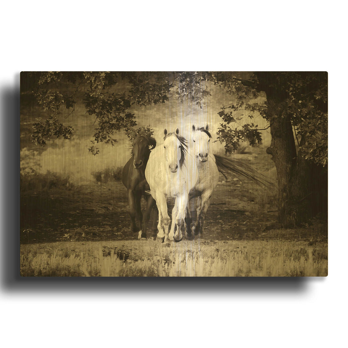 'Three Wild Horses Sepia' By Debra Van Swearingen Gold Metal Wall Art