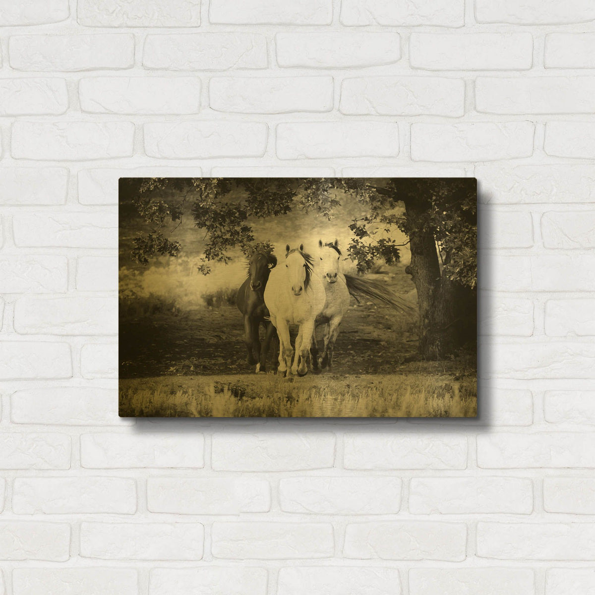 'Three Wild Horses BW' By Debra Van Swearingen Gold Metal Wall Art