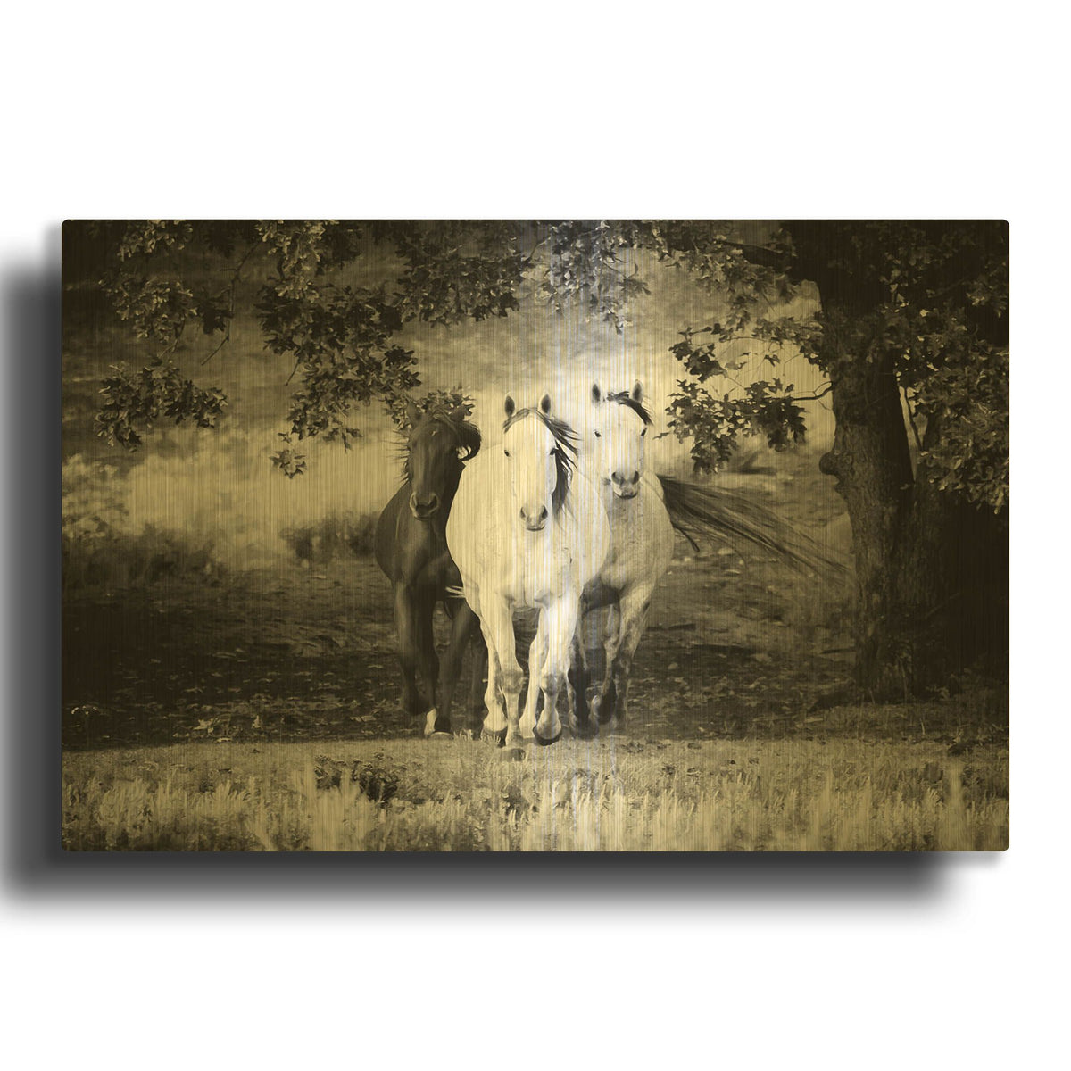 'Three Wild Horses BW' By Debra Van Swearingen Gold Metal Wall Art