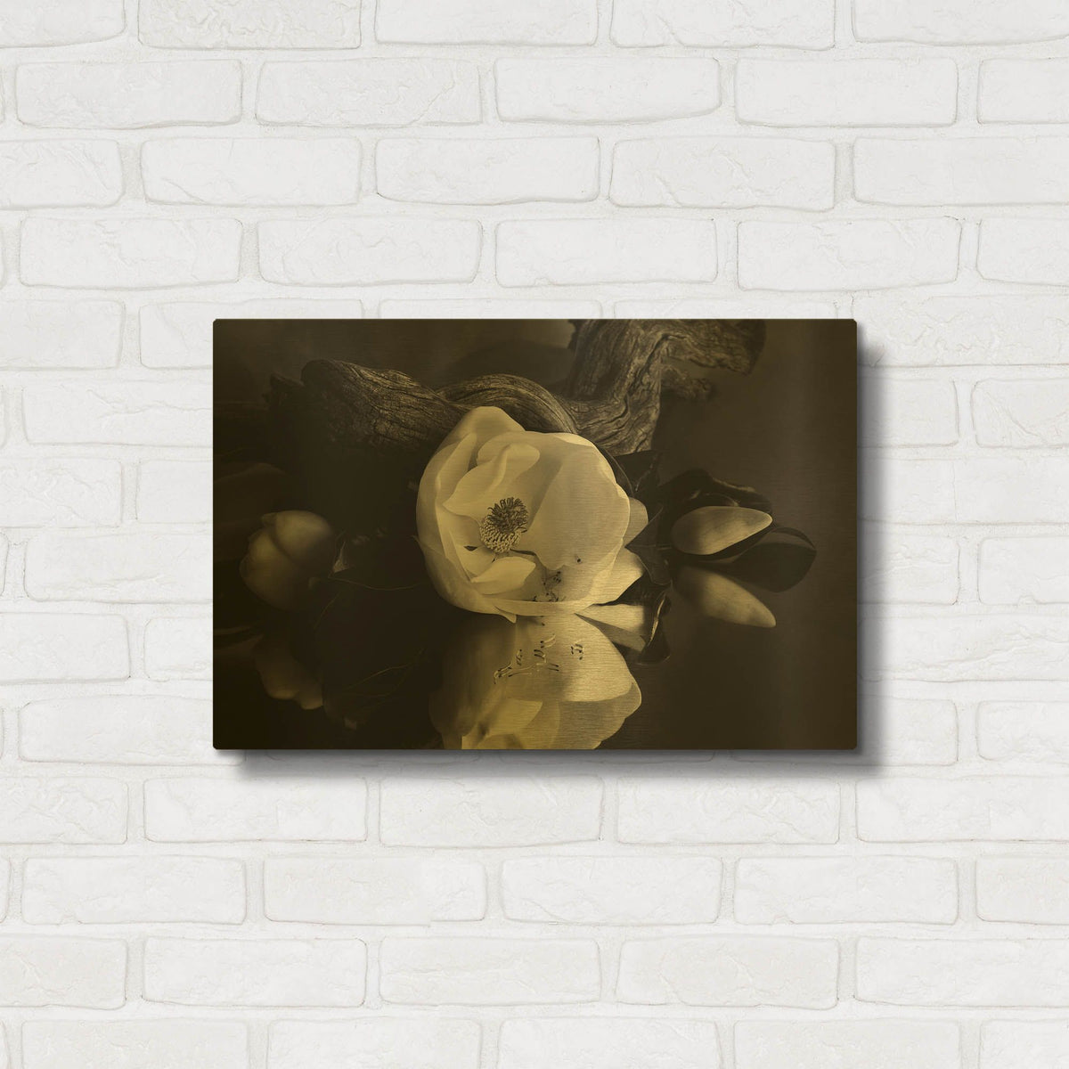 'Magnolia and Driftwood I' By Debra Van Swearingen Gold Metal Wall Art